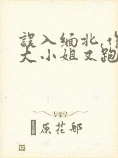 误入缅北,作精大小姐又跑了小说免费阅读