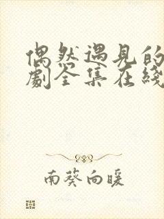 偶然遇见的你短剧全集在线观看免费