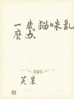 一岁猫咪乱尿怎么办