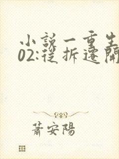 小说一重生2002:从拆迁开始发家致富