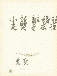 小说 离婚后前夫哭着求复婚