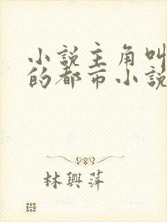 小说主角叫叶峰的都市小说