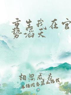 重生我在官场权势滔天