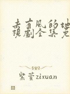去有风的地方电视剧全集免费播放