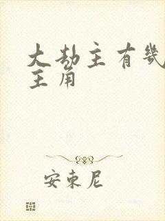 大劫主有几个女主角