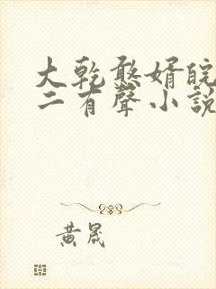 大乾憨婿皖南牛二有声小说