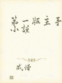 第一版主手机版小说