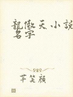 龙傲天小说主角名字