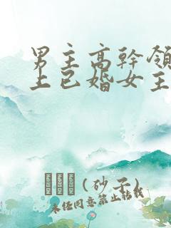 男主高干领导看上已婚女主