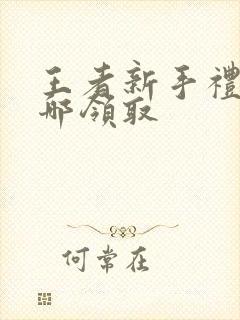 王者新手礼包在哪领取