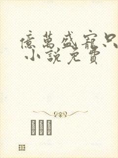 亿万盛宠只为你 小说免费