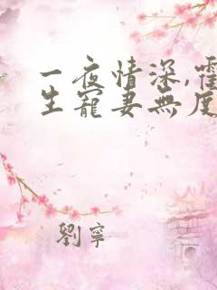 一夜情深,霍先生宠妻无度小说全部章节