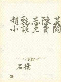 赵乾志陈芸穿越小说免费阅读