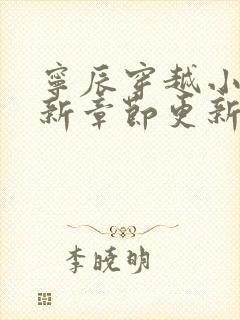 宁辰穿越小说最新章节更新