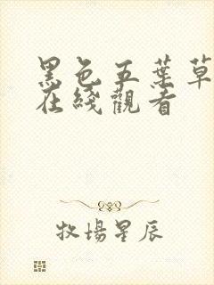 黑色五叶草高清在线观看