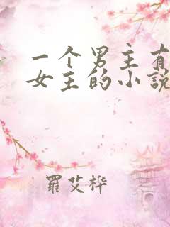 一个男主有很多女主的小说