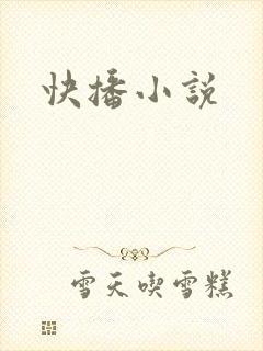 快播小说