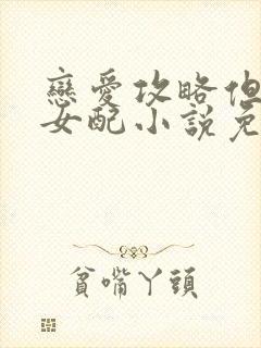 恋爱攻略但恶毒女配小说免费阅读