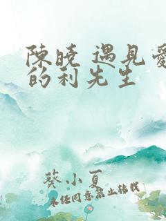 陈晓 遇见爱情的利先生