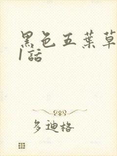 黑色五叶草331话