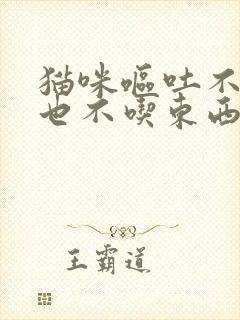 猫咪呕吐不爱动也不吃东西