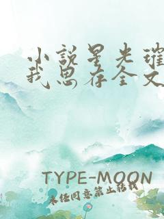 小说星光璀璨匪我思存全文