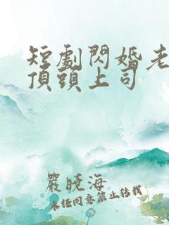 短剧闪婚老公是顶头上司