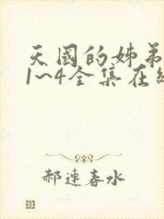 天国的姊弟动漫1~4全集在线观看免费