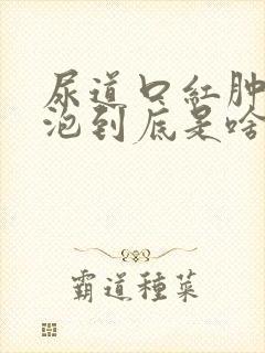 尿道口红肿有水泡到底是啥病