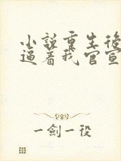 小说重生后影帝逼着我官宣