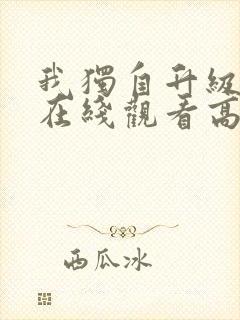 我独自升级动漫在线观看高清