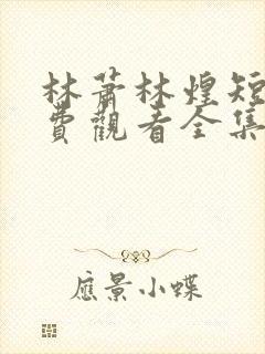 林萧林煌短剧免费观看全集