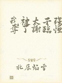 我被太子强取豪夺了谢临恒的小说免费阅读