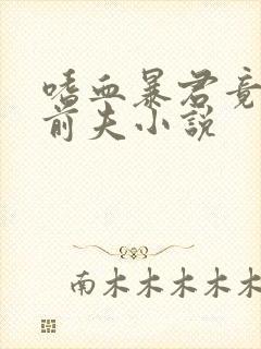 嗜血暴君竟是我前夫小说