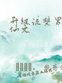 升级流双男主修仙文