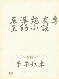 反派炮灰专偷女主的小说