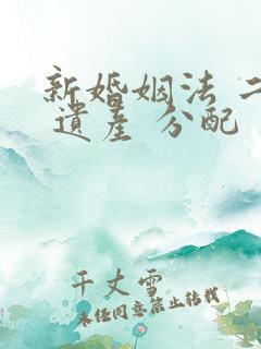 新婚姻法 二婚 遗产 分配