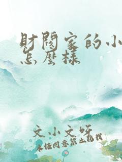 财阀家的小儿子怎么样