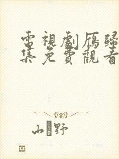 电视剧雁归时全集免费观看完整版