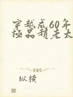 穿越成60年代极品赵老太小说