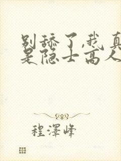 别舔了,我真不是隐士高人