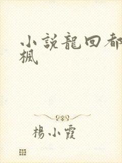 小说龙回都市楚枫