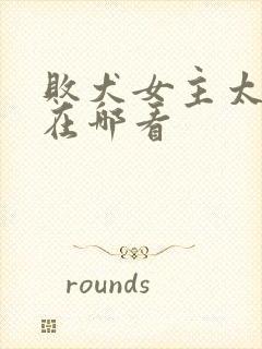 败犬女主太多了在哪看