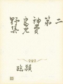 野良神第二季全集免费