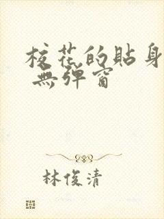 校花的贴身高手 无弹窗