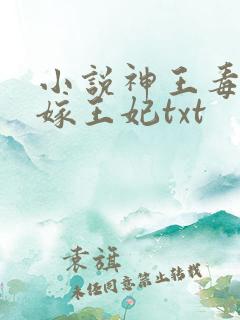 小说神王毒宠二嫁王妃txt