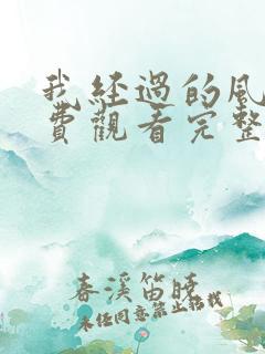 我经过的风暴免费观看完整版电视剧高清