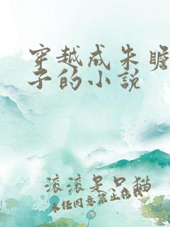 穿越成朱瞻基儿子的小说