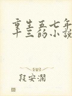 重生五七年代赵十三的小说