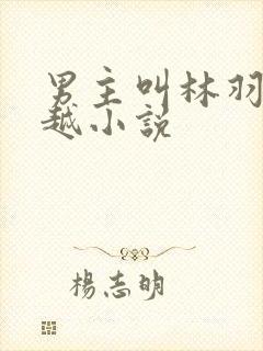 男主叫林羽的穿越小说